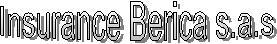 Insurance Berica s.a.s